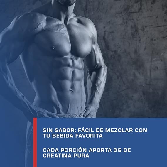 imagen de promo de creatina  WEIDER